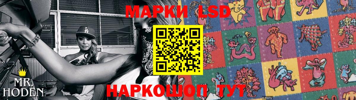 LSD-25 экстази кислота Губаха