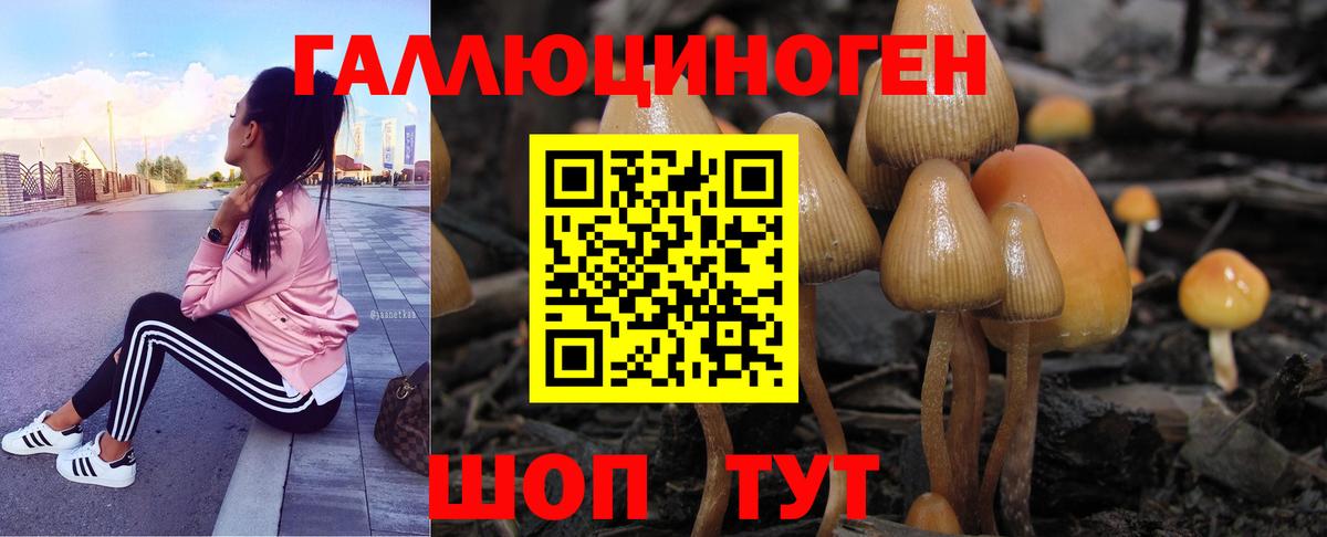 Галлюциногенные грибы ЛСД  Вход с VPN  Губаха 
