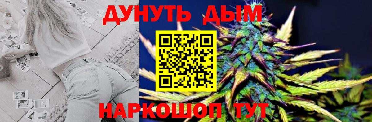 Каннабис White Widow Губаха