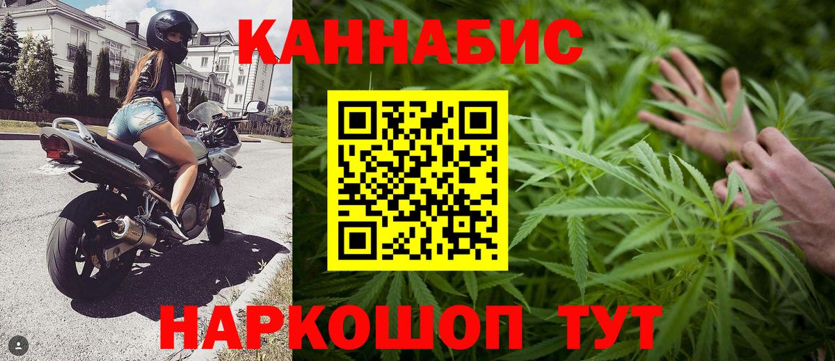 Бошки Шишки конопля  Конопля семена  Губаха  Вход с VPN  Каннабис индика 